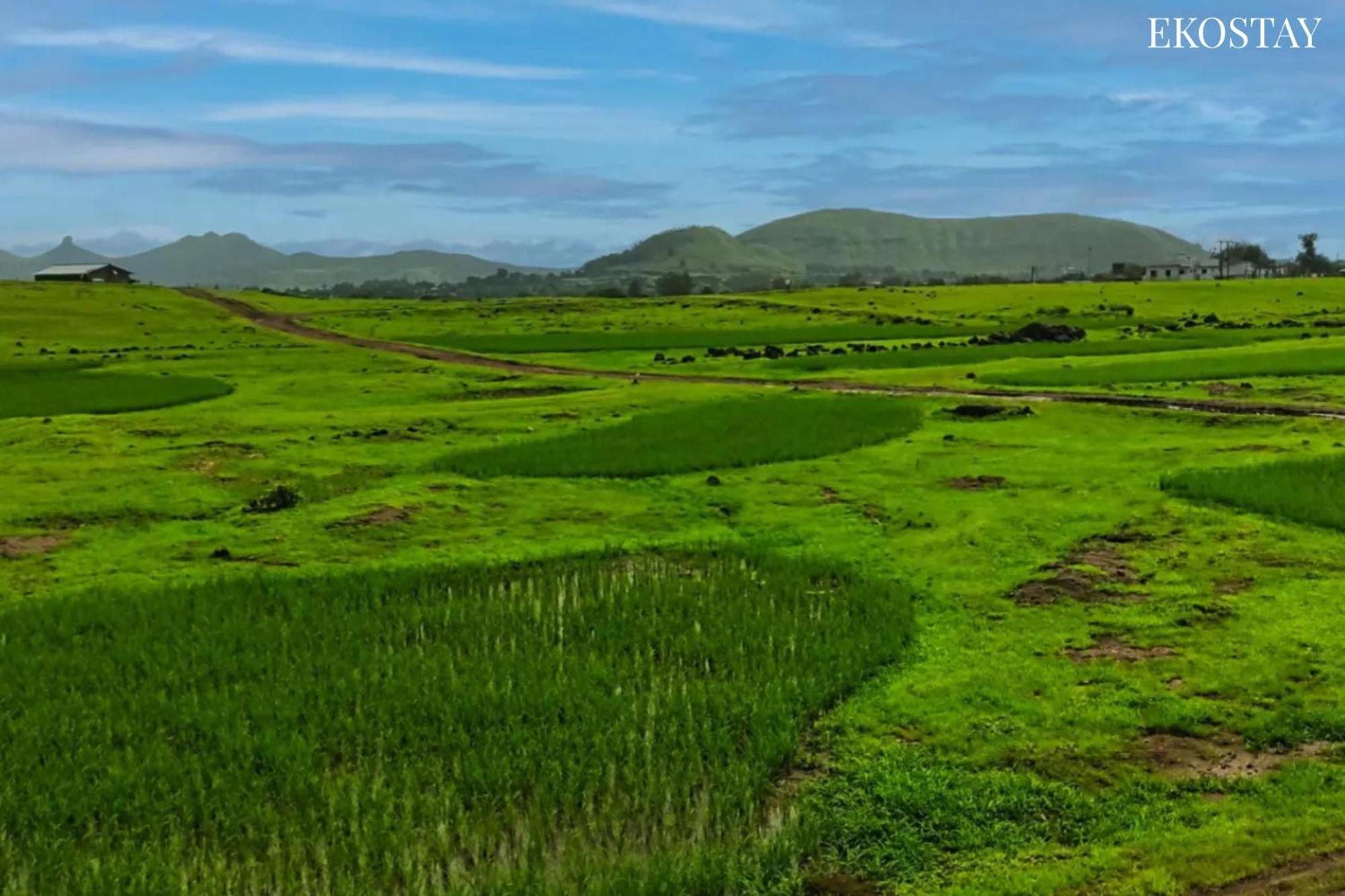 Ekostay - Neptune Villa Igatpuri Zewnętrze zdjęcie