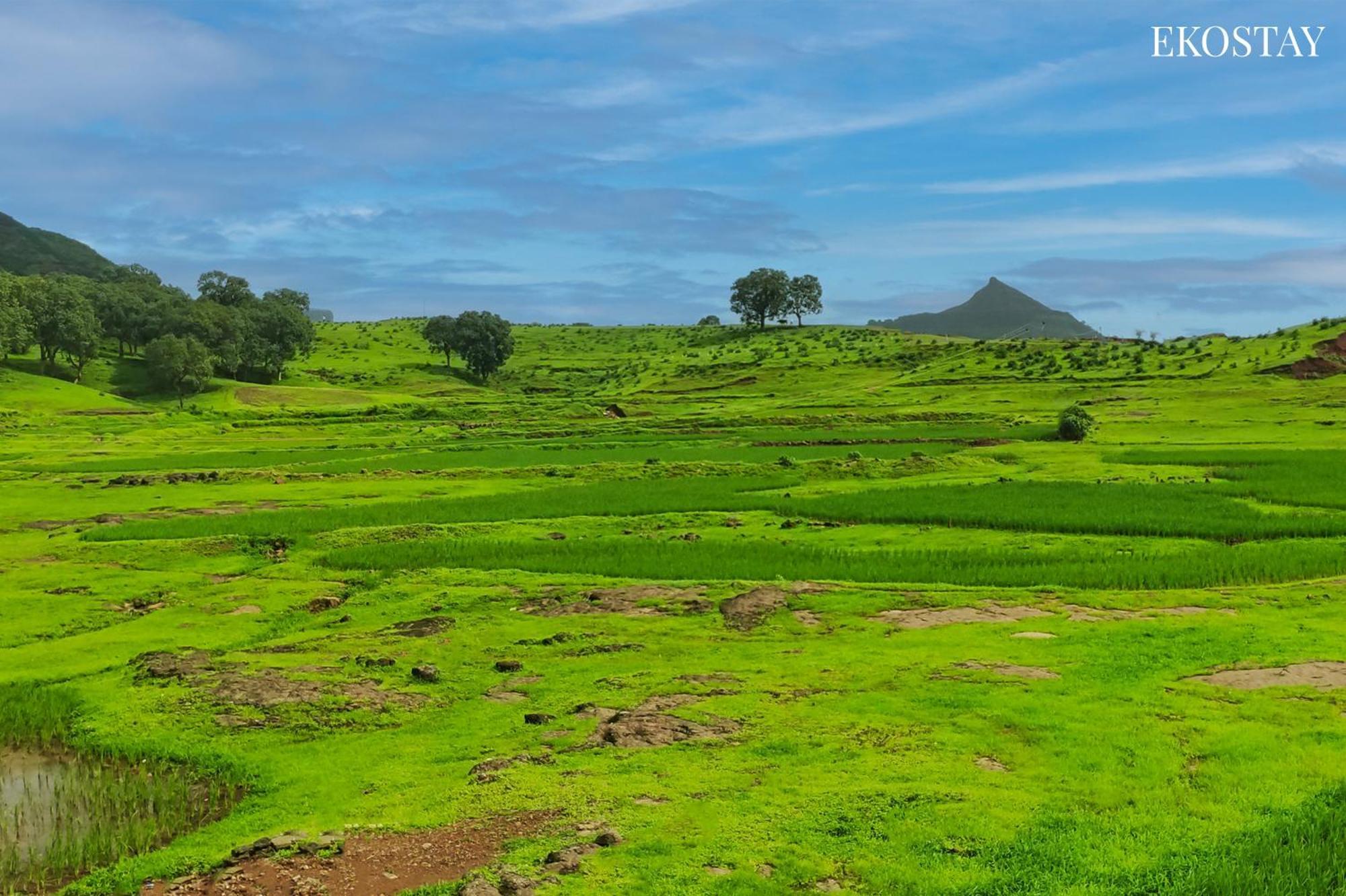 Ekostay - Neptune Villa Igatpuri Zewnętrze zdjęcie